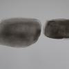 Zwei Pf�tzen_2020_Oel auf Folie_ca. 50 x 35 cm