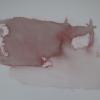 Container_2020_Oel auf Folie_ca. 35 x 50 cm